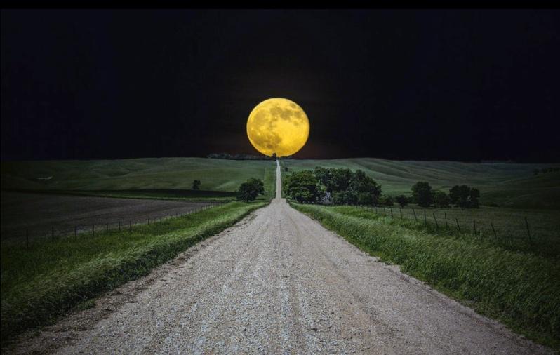 IT外包,IT外包服务