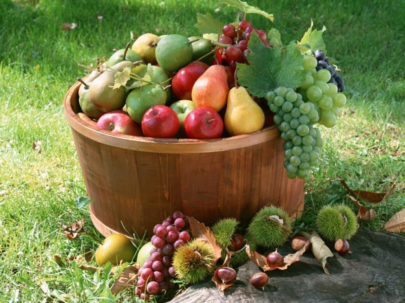 it外包，IT外包服务