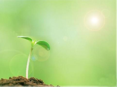 it外包，IT外包服务