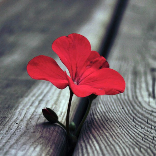 it外包,企业it外包