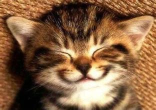 it外包,企业it外包