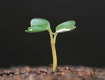 it外包,企业it外包