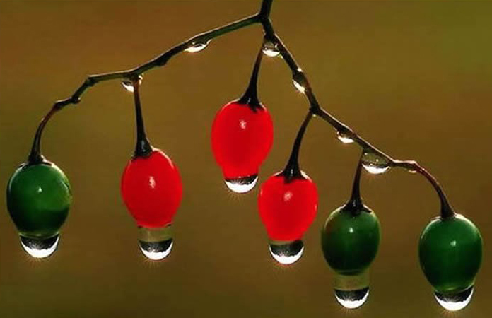 北京it外包公司、企业IT外包