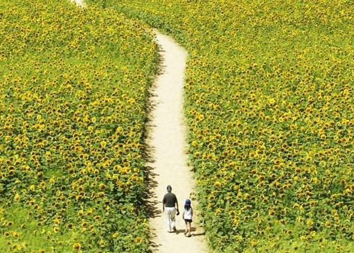 北京it外包公司、企业IT外包