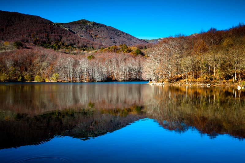 企业IT外包服务 北京IT外包服务