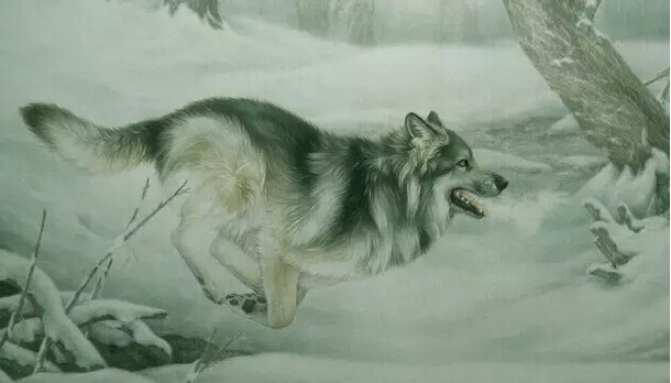 1434340522163520.png QQ图片20150615114802.png