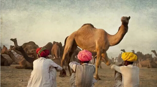 1434340557228929.png QQ图片20150615114814.png