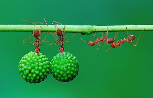 1440146138129568.png 4.png