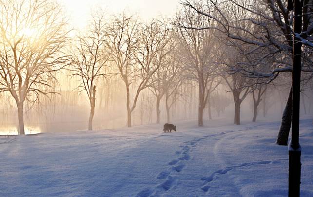 1447654683414094.jpg image001(11-16-13-51-31).jpg