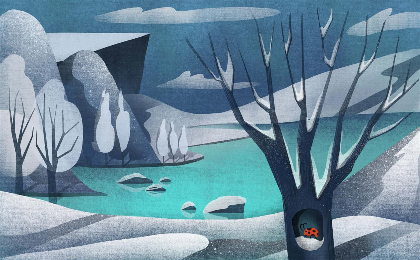 1580625556654519.png 图片5.png